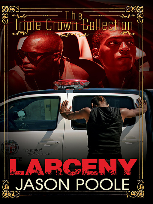 Cover image for Larceny